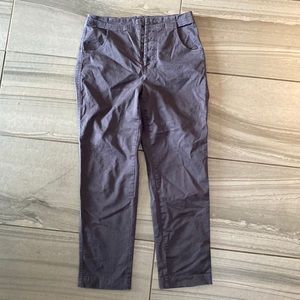 Aritzia The Group BABATON Zoey Pant